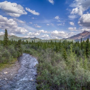 Somewhere in Alaska